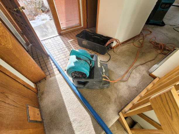 Best Ceiling water damage repair  in Boyd, TX