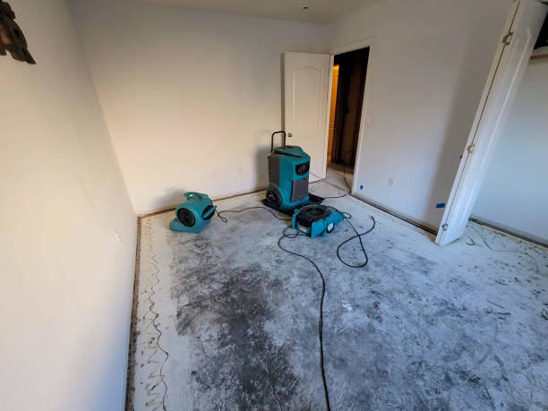 Best Flood restoration services  in Boyd, TX