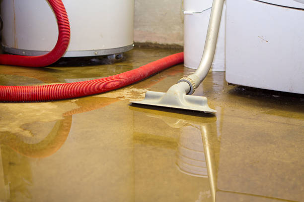 Best Local water damage restoration  in Boyd, TX