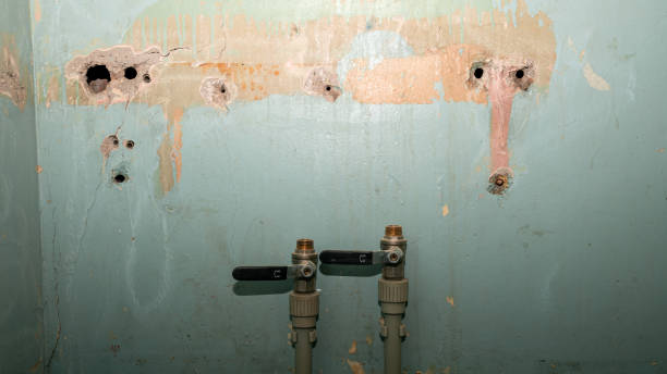 Best Basement water damage restoration  in Boyd, TX
