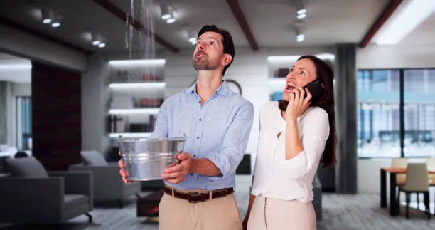 Best Local water damage restoration  in Boyd, TX