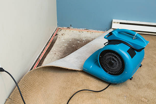 Best Fire Damage Restoration  in Boyd, TX